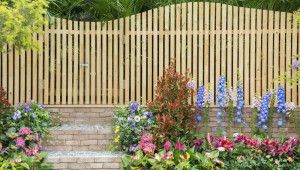 Як ефективно доглядати за дерев’яними огорожами та парканами?