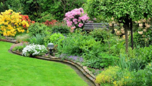 Сад у голландському стилі – ідеї для натхнення та поради