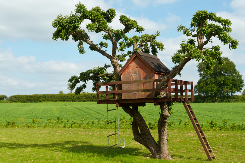 деревяний будиночок на дереві